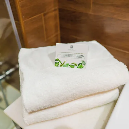 Compostela Santiago de Compostela